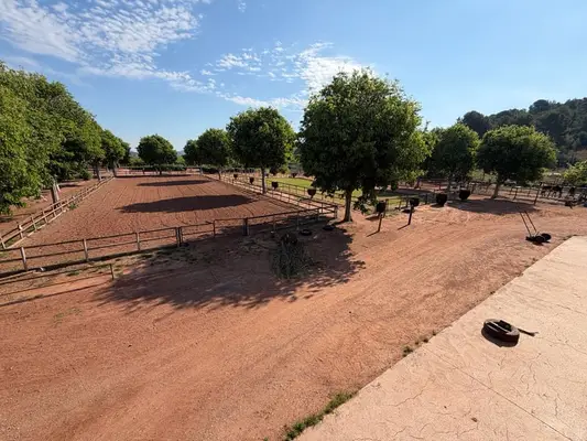 Reitanlage in Castellón