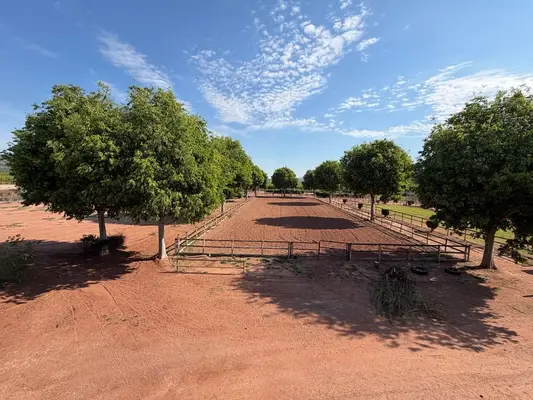Reitanlage in Castellón