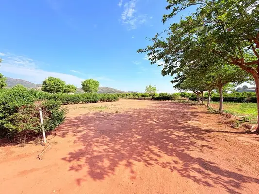 Reitanlage in Castellón