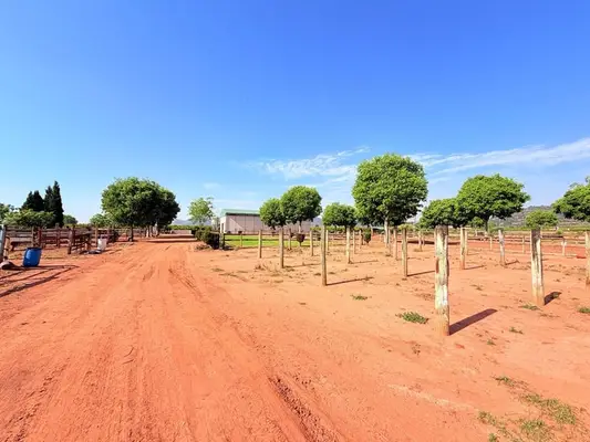 Reitanlage in Castellón