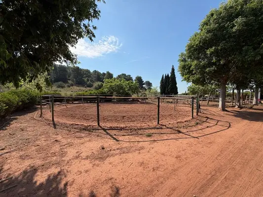 Reitanlage in Castellón