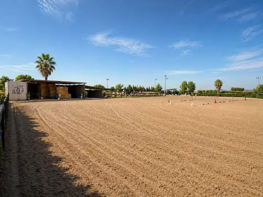 Reiterhof am Meer gelegen