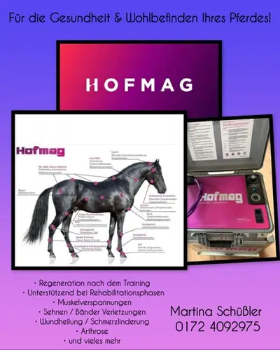 Traitement Hofmag pour votre cheval !