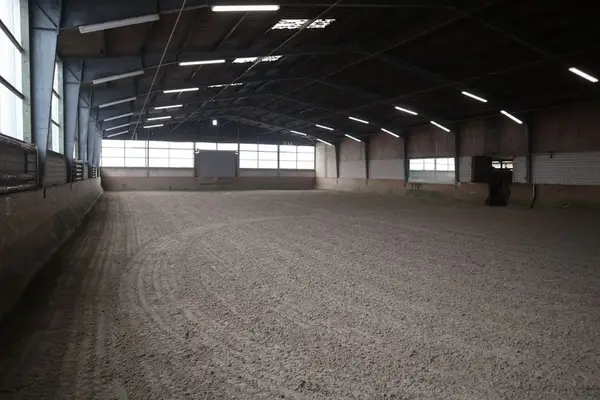 Tolle Stallgemeinschaft hat noch Boxen frei!