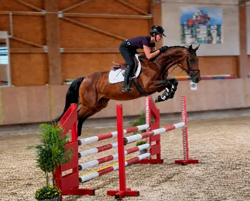 Leichtfüssiger mittelgrosser Sportler mit grossem Herz