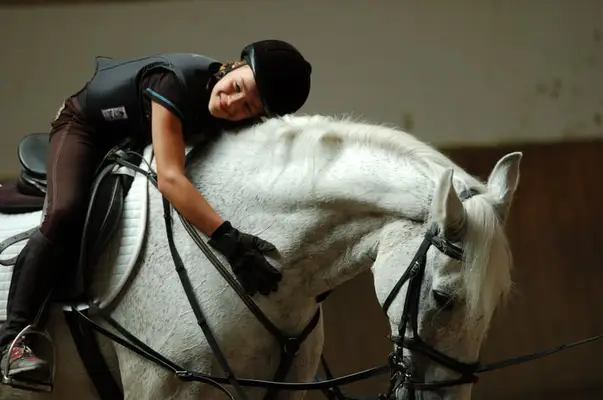 Clases de equitación para adultos, niños y jóvenes