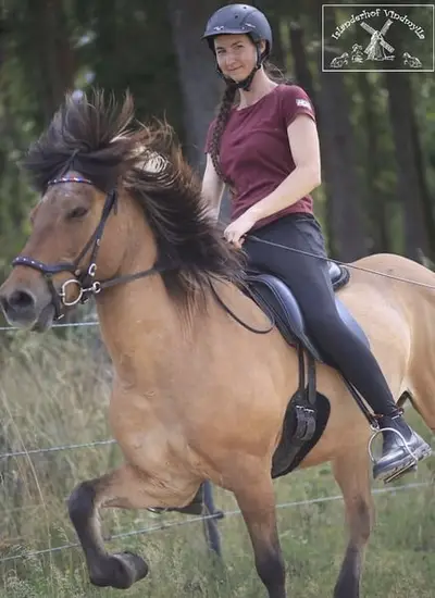Clases de equitación en caballos islandeses
