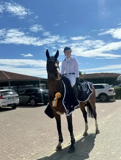 5-jährige dunkelbraune Stute – Sport & Amateurpferd 🤎🐴