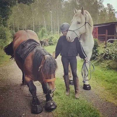 paar von Cavallo trek,regular, größe0-10, schwarz Farben: schwarz und grün und lila