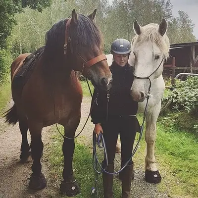 paar von Cavallo trek,regular, größe0-10, schwarz Farben: schwarz und grün und lila