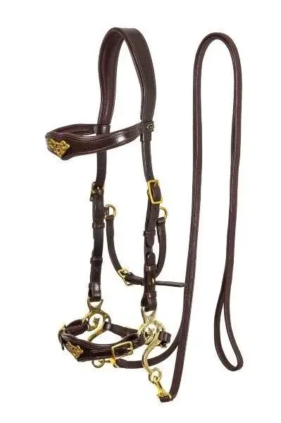 free-riding hackamore imperial edelstahl und messing, braun, schwarz- pony- kb
