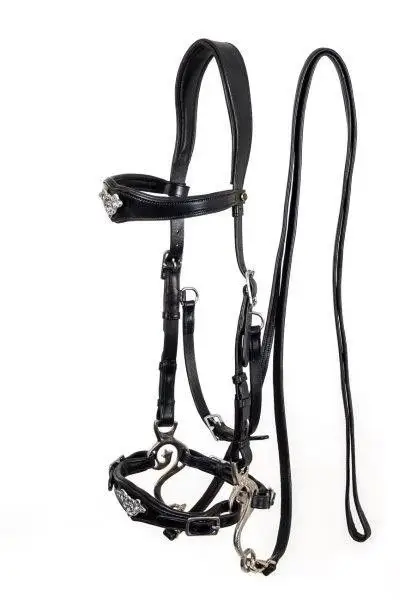free-riding hackamore imperial edelstahl und messing, braun, schwarz- pony- kb