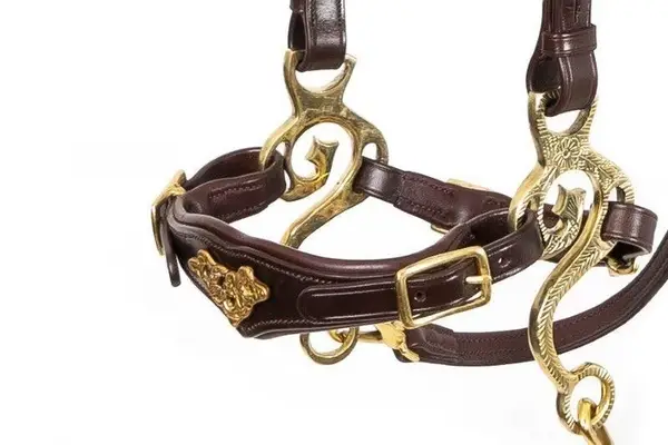 free-riding hackamore imperial edelstahl und messing, braun, schwarz- pony- kb