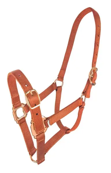 ergonomisch geformten Dressurschabracke estate von zilco