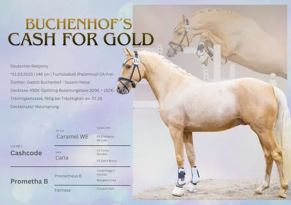 Buchenhof‘s Cash for Gold