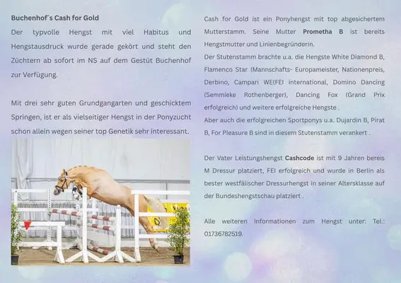 Buchenhof‘s Cash for Gold