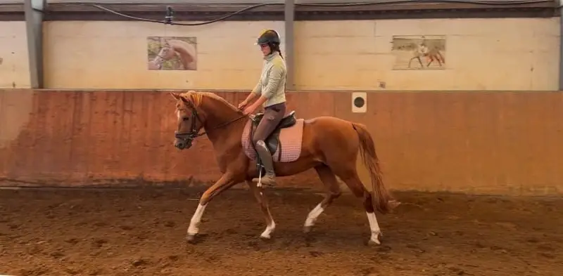 Talentierter Youngster