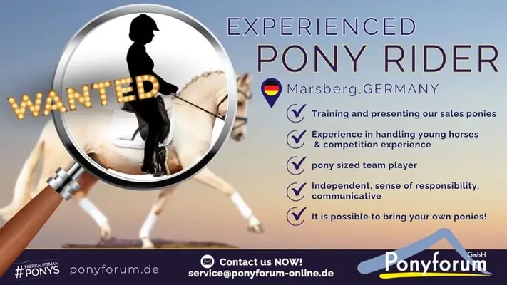 Se busca jinete de ponis con experiencia en Marsberg, Alemania