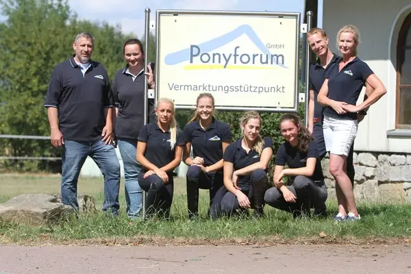 Experienced Pony Rider Wanted in Marsberg, Germany