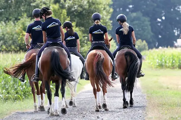 Experienced Pony Rider Wanted in Marsberg, Germany