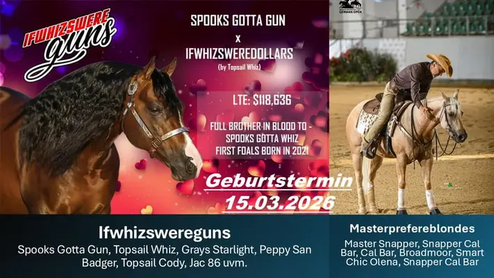 Futurity Reining-Perspektive der Extraklasse: Buckskin Fohlen