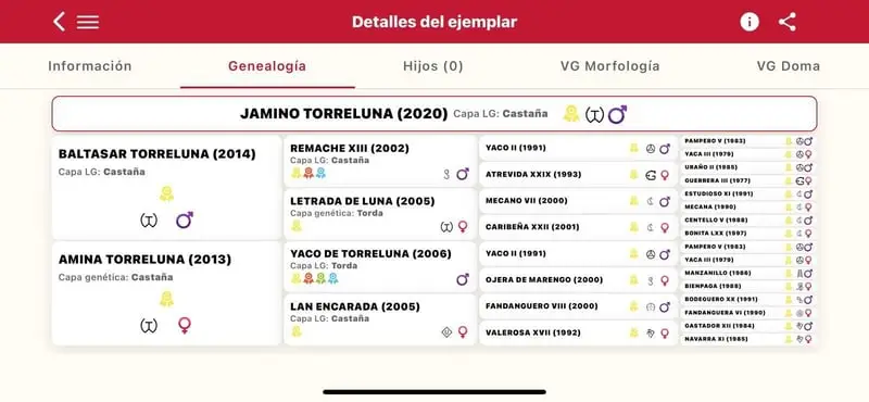 JAMINO TORRELUNA