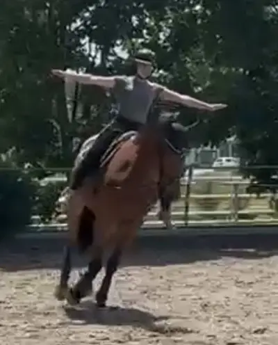 Excellent cheval de loisir/de voltige