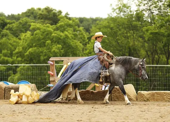 Chase ist die Art von Pony, die schwer zu finden ist.