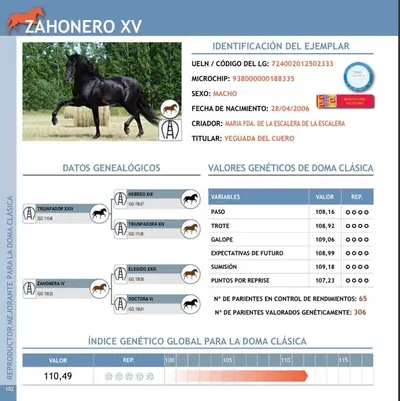 TOP PRE Calificado Deckhengst Zahonero XV , TG Samen