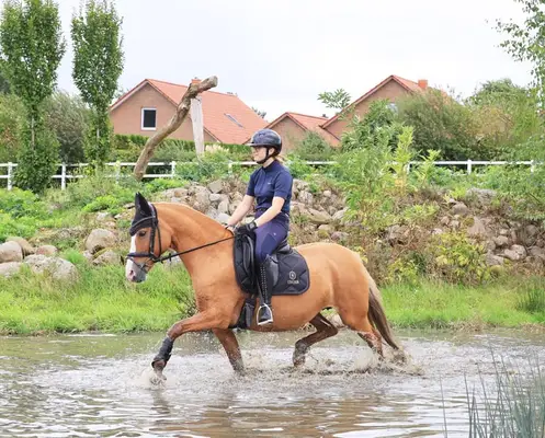 Landeschampionesse trifft Lebensversicherung -