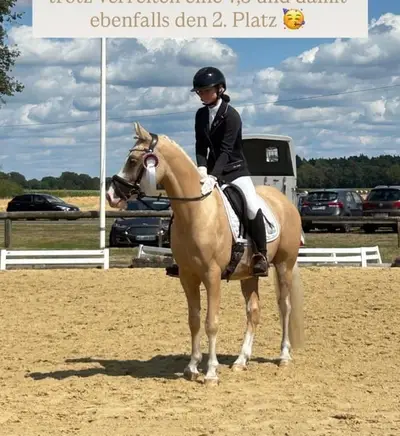 rittiges Nachwuchs Dressurpony aus Dornik B Mutter