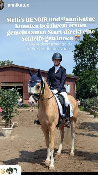 rittiges Nachwuchs Dressurpony aus Dornik B Mutter
