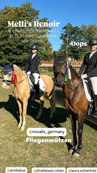 rittiges Nachwuchs Dressurpony aus Dornik B Mutter