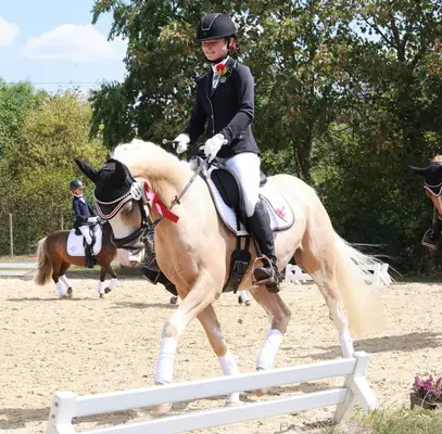 rittiges Nachwuchs Dressurpony aus Dornik B Mutter