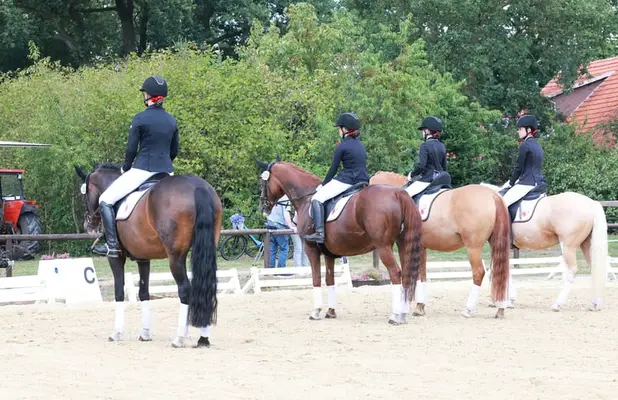 rittiges Nachwuchs Dressurpony aus Dornik B Mutter
