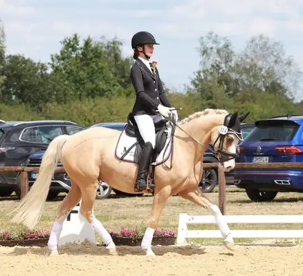 rittiges Nachwuchs Dressurpony aus Dornik B Mutter