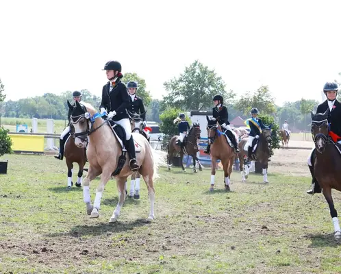 rittiges Nachwuchs Dressurpony aus Dornik B Mutter