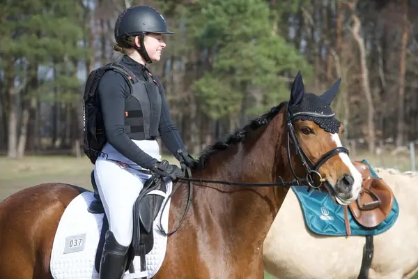 Sportlicher L-platzierter Dressurpony Wallach