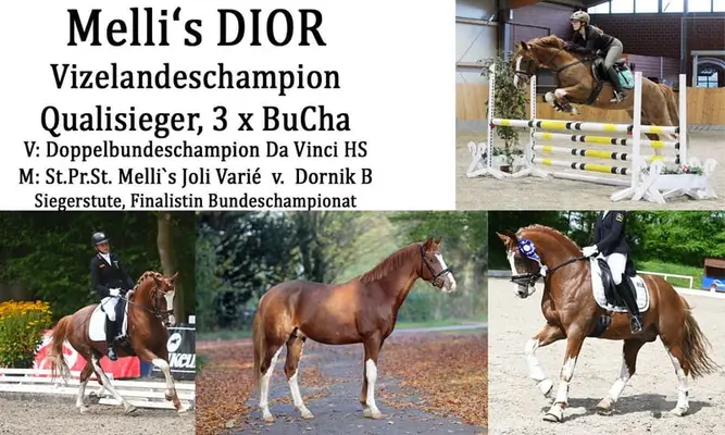 Melli's Dior
