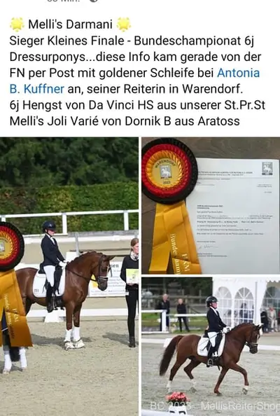 Melli's Darmani