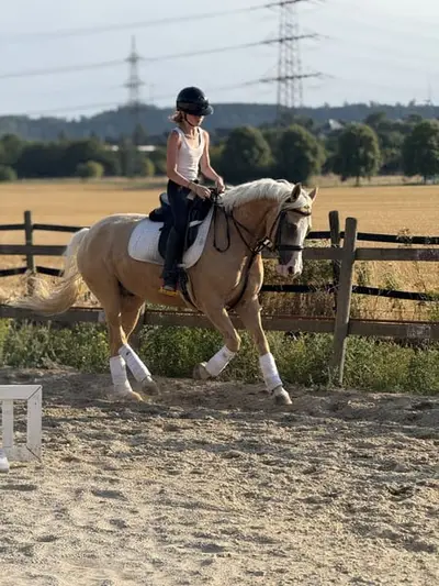 Ferien auf dem Ponyhof - Reiten
