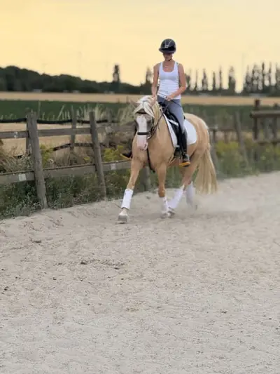 Ferien auf dem Ponyhof - Reiten