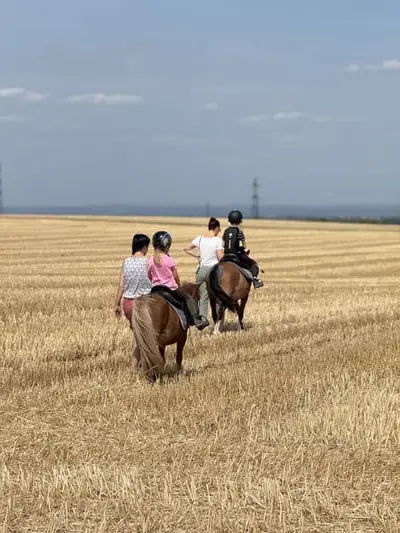 Ferien auf dem Ponyhof - Reiten