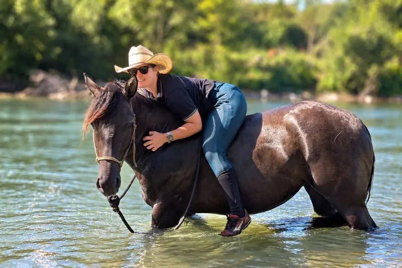 KALA – Quarter Horse, Grullo