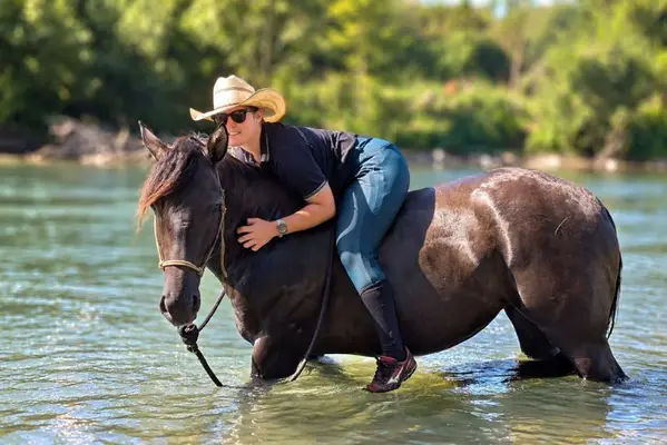 KALA – Quarter Horse, Grullo