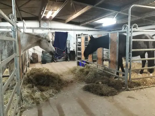Paddock-Box in Offenstall Nähe Göttingen / Witzenhausen