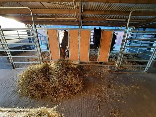 4 Paddockboxen frei Nähe Göttingen/Hann. Münden/Witzenhausen