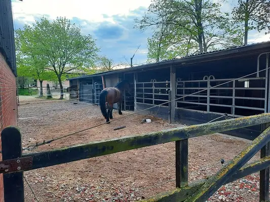 4 Paddockboxen frei Nähe Göttingen/Hann. Münden/Witzenhausen
