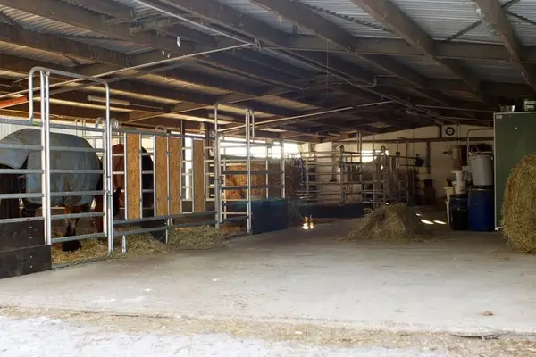 4 Paddockboxen frei Nähe Göttingen/Hann. Münden/Witzenhausen