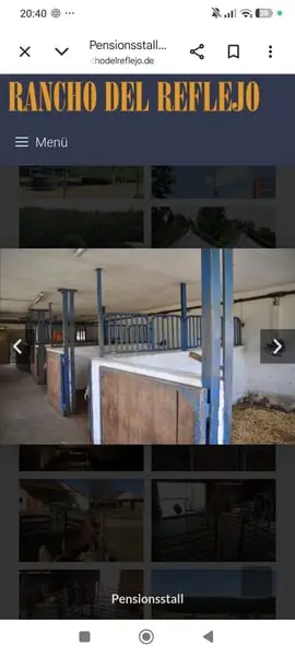 Paddockboxen frei